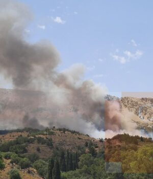 Resta_fwtia_Karies_7Jun24