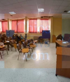 Sesnox_siskepsi_forewn_2Feb22