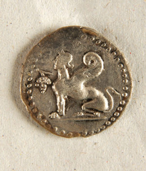 Sfigga_chios_Tsardaka_22