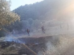 Πυροσβεστική Υπηρεσία Χίου: Αμεση αντίδραση με πρόστιμα και συλλήψεις για προκλήσεις πυρκαγιάς
