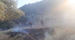Πυροσβεστική Υπηρεσία Χίου: Αμεση αντίδραση με πρόστιμα και συλλήψεις για προκλήσεις πυρκαγιάς
