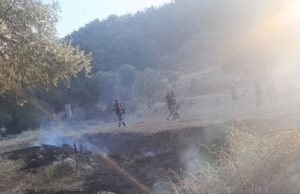 Πυροσβεστική Υπηρεσία Χίου: Αμεση αντίδραση με πρόστιμα και συλλήψεις για προκλήσεις πυρκαγιάς