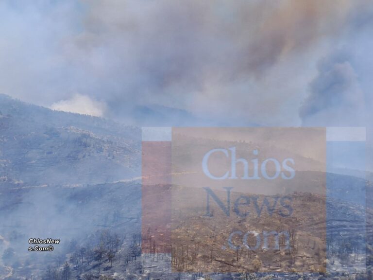 Λαϊκή Συσπείρωση: Δασικές πυρκαγιές- “έγκλημα κατά συρροή”