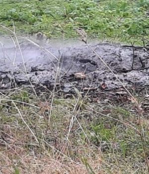 Staxti_apokaidia_18Feb21