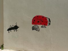 Σχολικές αυλές, τι σας εμποδίζει…., του Μιχάλη Μελαχροινούδη