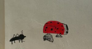 Σχολικές αυλές, τι σας εμποδίζει…., του Μιχάλη Μελαχροινούδη