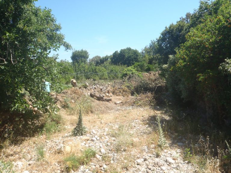Κλάδεψαν τα περιβόλια, τα έριξαν στον ποταμό- προειδοποίηση από αντιδήμαρχο Ομηρούπολης