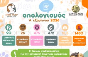 Απολογισμός δράσεων για τα αδέσποτα ζώα συντροφιάς – Α’ Εξάμηνο 2026