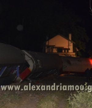 alexandriamou_treno_adendro003
