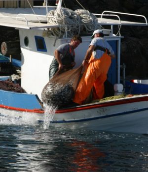 alieia-me-bitzotrata