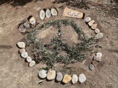 Πανελλαδική διάκριση του 6ου Δημοτικού Σχολείου Χίου στη Σκυταλοδρομία «Τρέχω για την Ειρήνη