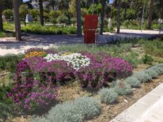Παγχιακός Σύλλογος ΑμεΑ: Για την προσβασιμότητα τού υπό ανάπλαση Δημοτικού Κήπου .