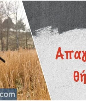 dasarxeio_apagorefsi_kinigiou_22Ag25