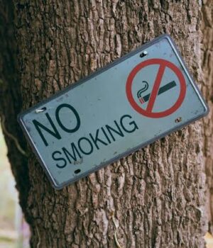 dasos_no_smoking_tsigaro-20Jul26