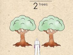 Εκεί που Ζω: Ενας άνθρωπος- δύο δέντρα