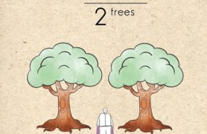 Εκεί που Ζω: Ενας άνθρωπος- δύο δέντρα