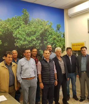 emx_ekloges_Toumpos_17Nov19