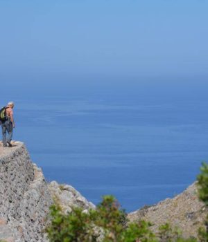 fa_Lithi_Xalatsis_2016_n