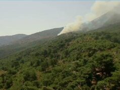 Χίος: Κινητοποίηση για φωτιά στην περιοχή Βίκι