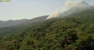 Χίος: Κινητοποίηση για φωτιά στην περιοχή Βίκι