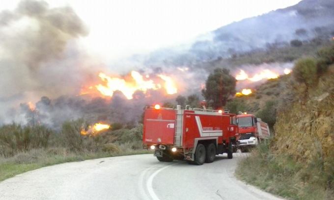 fotia_pota,_Amani_cns