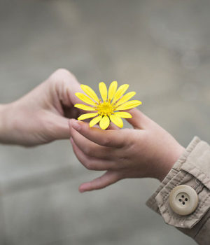 kalossini_louloudi_UCLA_Kindness_Teach