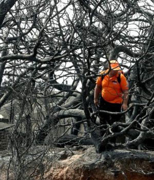 mati_pirkagia_etelontis