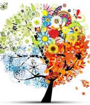 merominia_dentro_2020