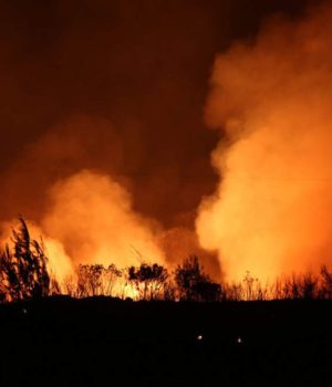 pIRKAGIA_KAlamos_Attikis_13Ag17