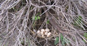 18 Απριλίου: Παροιμία για τον καιρό