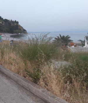 vrontados_xortaria_15May20