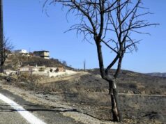 Επιτροπή Υπεράσπισης Αμανής: Καθυστερήσεις στην καταβολή αποζημιώσεων στους πυρόπληκτους