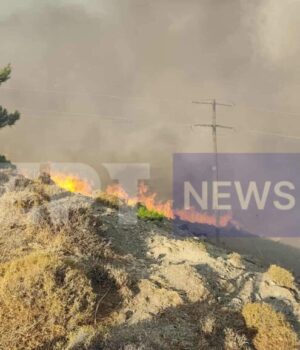 xios-fotia-2-1024x578