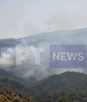 xios-fotia-3-1024x578