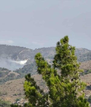 xios-kampia-fotia-1-1024x578